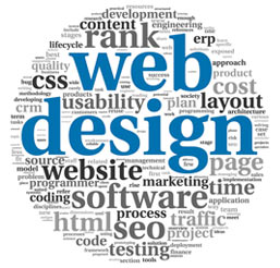 website design company in raipur