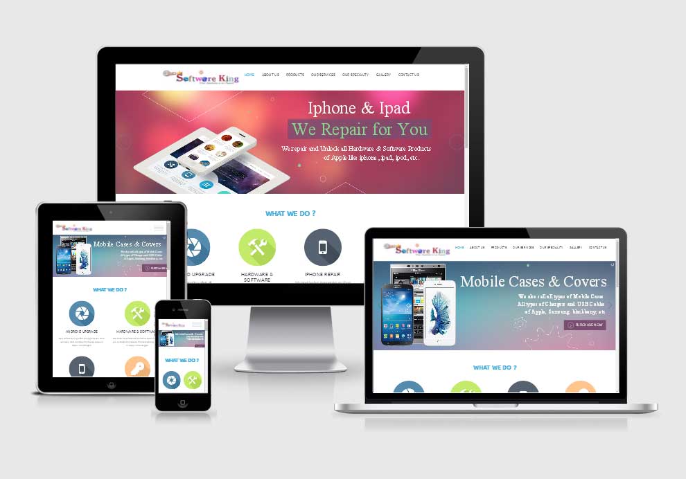 New Software King website design company in raipur