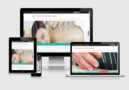 Acupuncture Wellness Center website design company in raipur